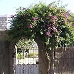 Casa Ischia * Forio di Ischia