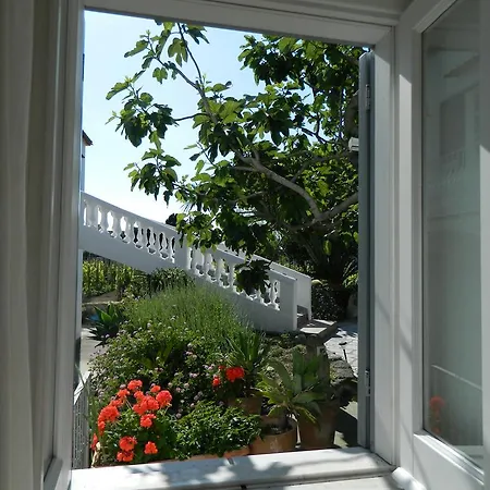 Διαμέρισμα Casa Ischia Forio di Ischia