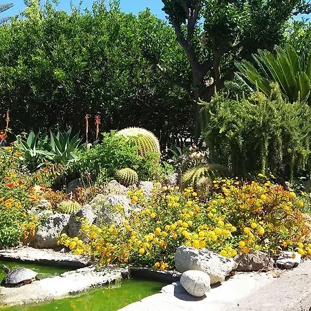Διαμέρισμα Casa Ischia Forio di Ischia