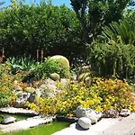 Apartmán Casa Ischia Forio di Ischia