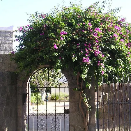 Casa Ischia * Forio di Ischia